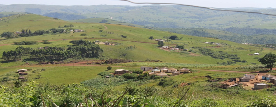 Land Reform Born in Chains: Why the Ingonyama Trust Must Die